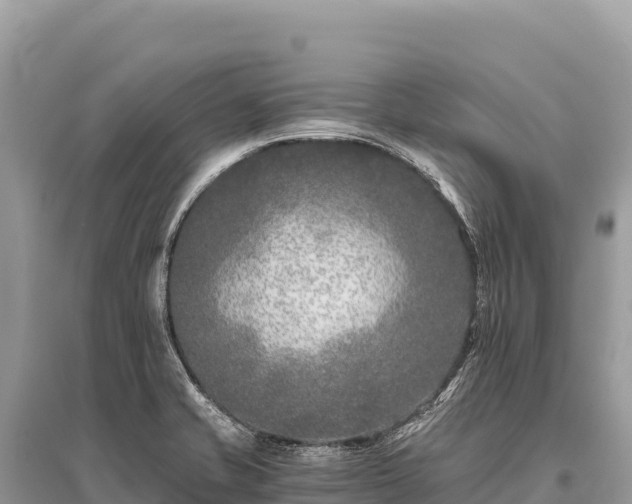 X0000096181421200801251205