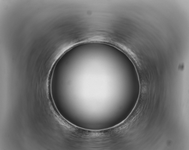 X0000096181423200801251205