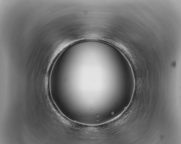 X0000096181424200801251205
