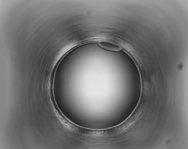 X0000096181426200801251205