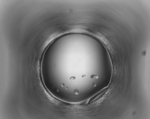X0000096181430200801251205