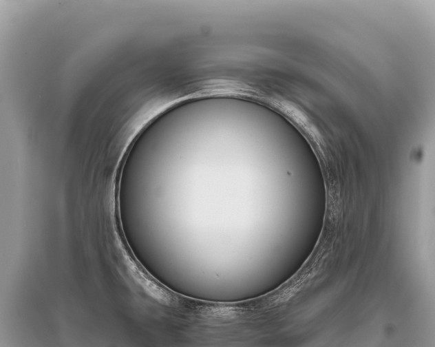 X0000096181431200801251205