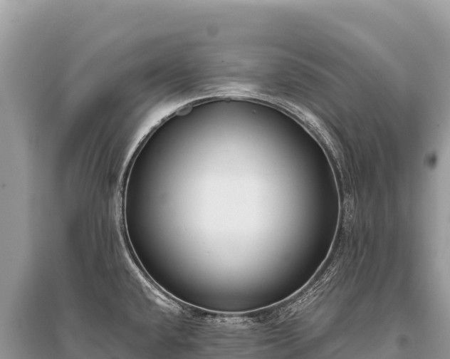 X0000096181432200801251205