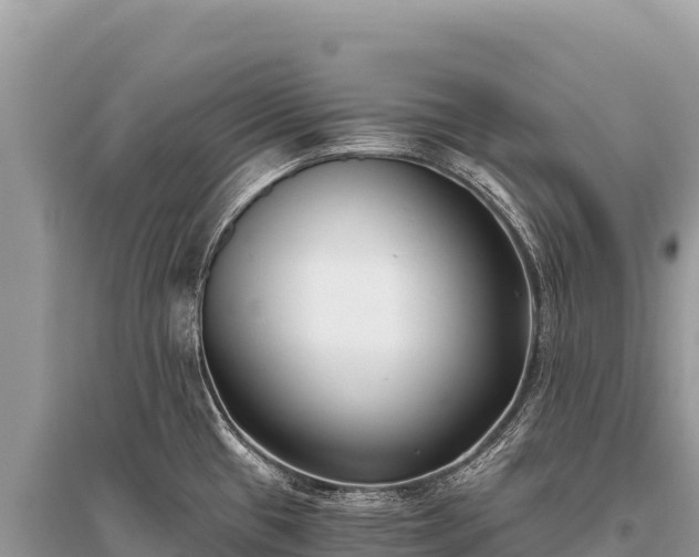 X0000096181433200801251205