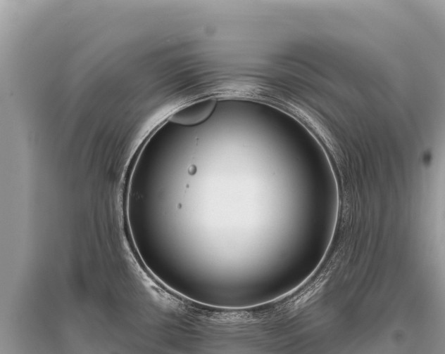 X0000096181434200801251205