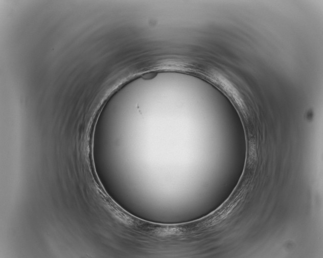 X0000096181435200801251205