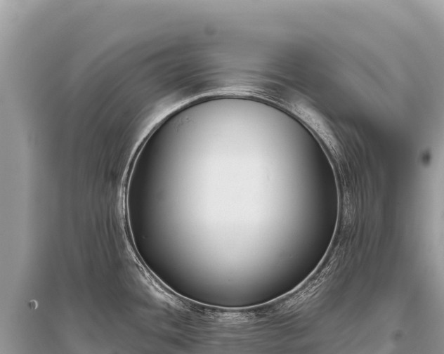 X0000096181436200801251205