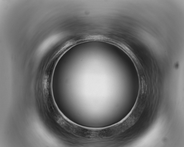 X0000096181438200801251205