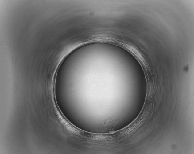 X0000096181439200801251205