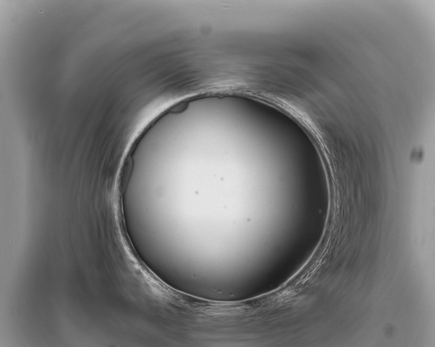 X0000096181440200801251205