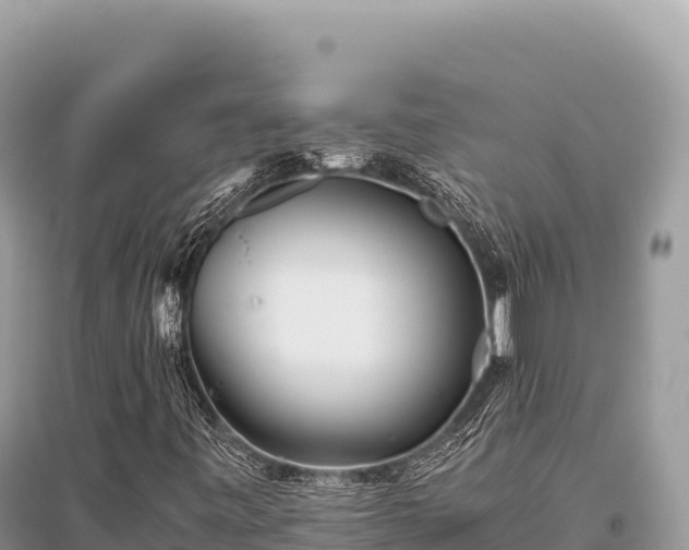 X0000096181443200801251204