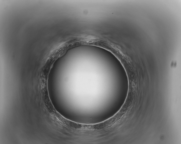 X0000096181447200801251204