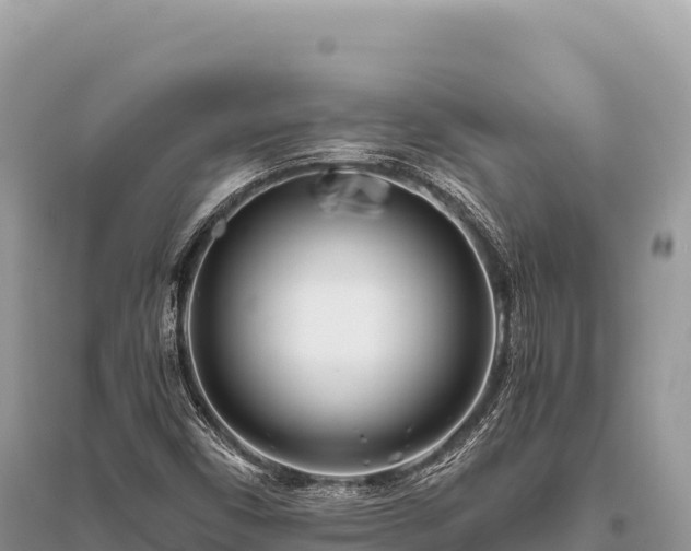 X0000096181450200801251204