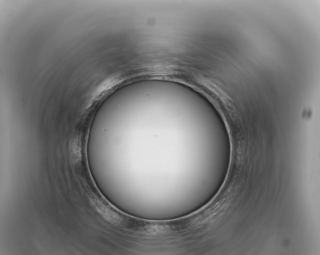 X0000096181451200801251204