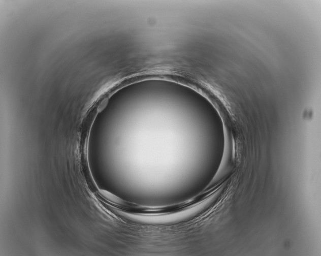 X0000096181452200801251204