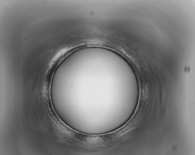X0000096181454200801251204
