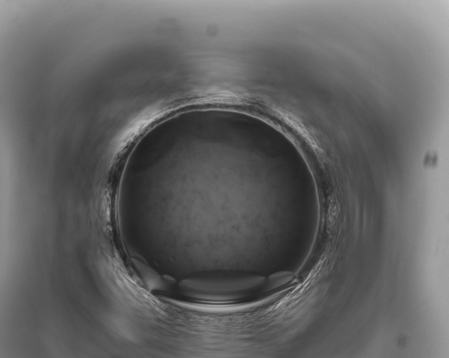 X0000096181455200801251204