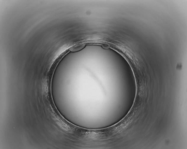 X0000096181458200801251204