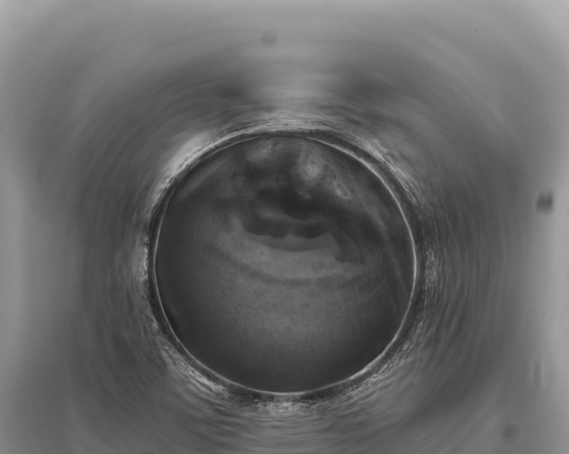 X0000096181459200801251204