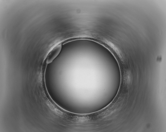 X0000096181460200801251204