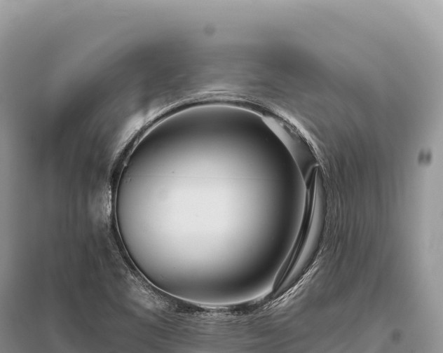 X0000096181461200801251204