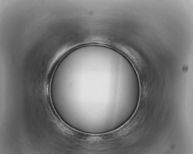 X0000096181462200801251204