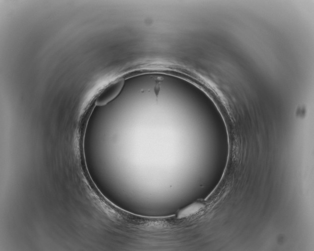 X0000096181464200801251204