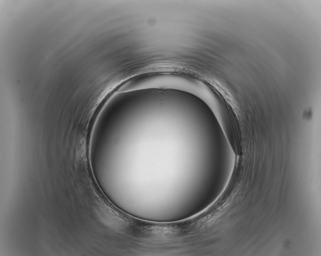 X0000096181465200801251204