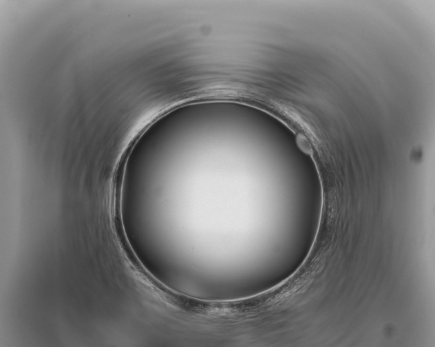 X0000096181467200801251204