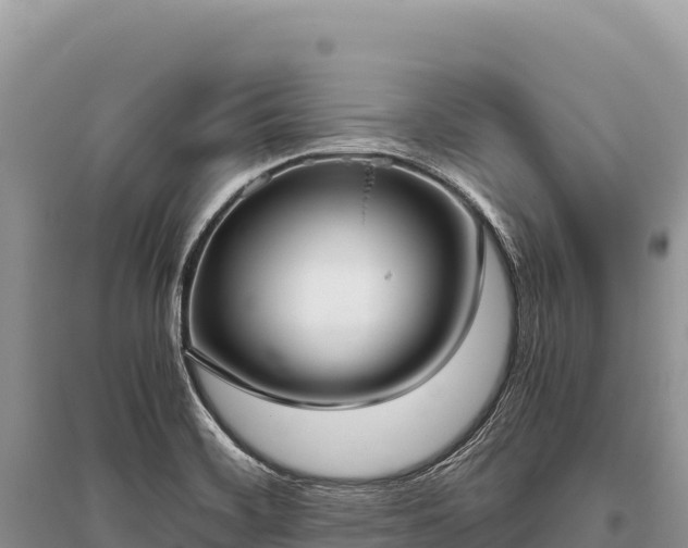 X0000096181468200801251204