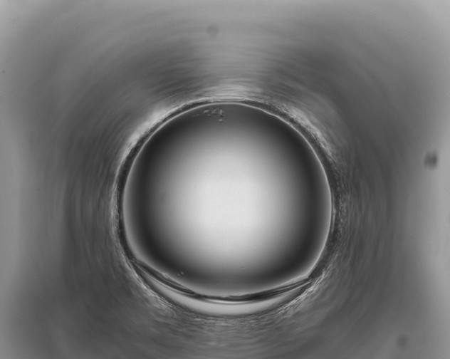 X0000096181469200801251204