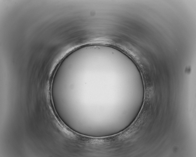 X0000096181470200801251204