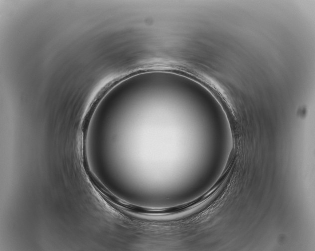 X0000096181472200801251204