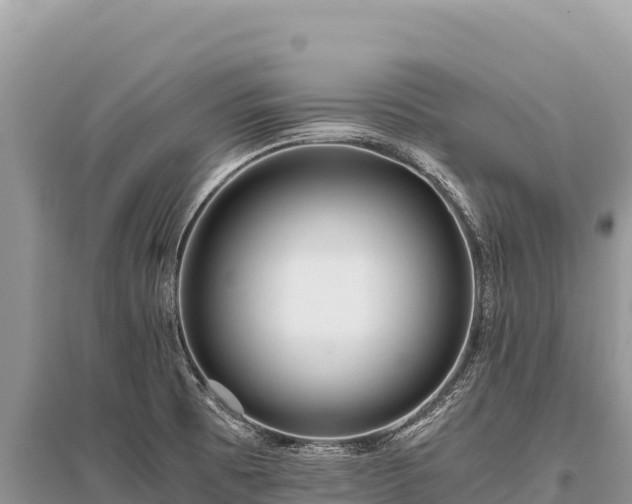 X0000096181473200801251204