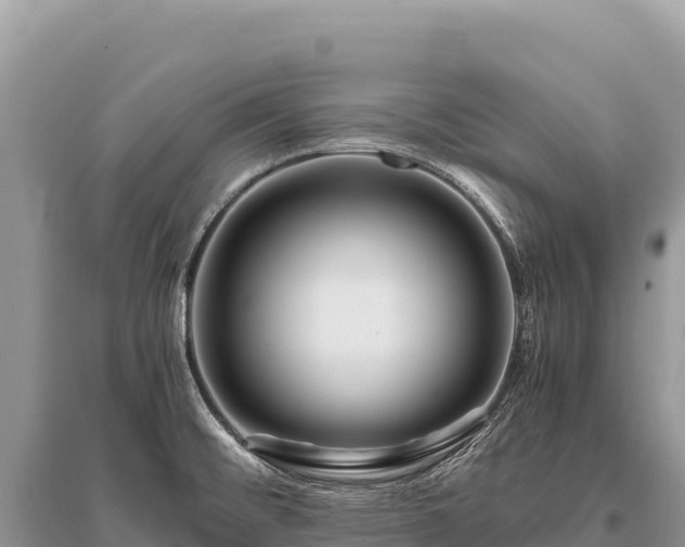 X0000096181476200801251204
