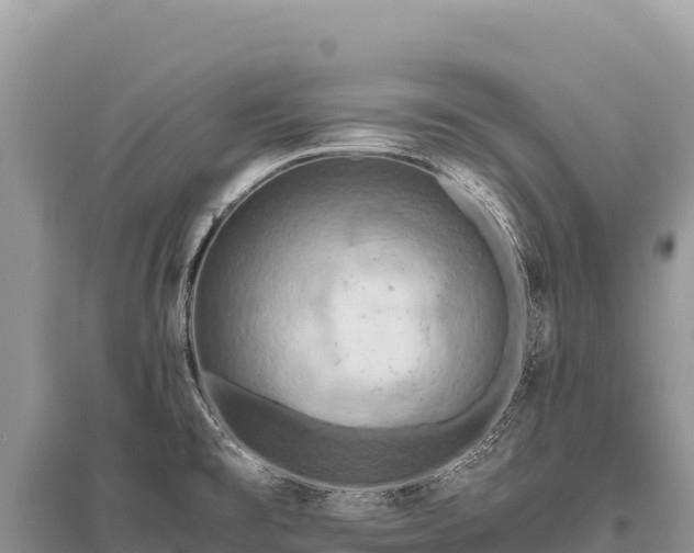 X0000096181477200801251204