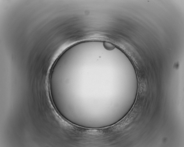 X0000096181478200801251203