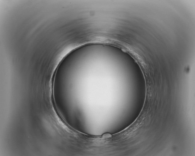 X0000096181479200801251203