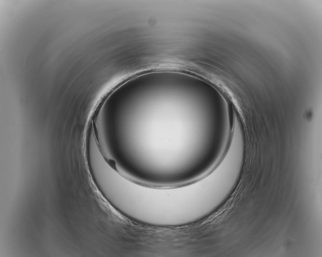 X0000096181480200801251203