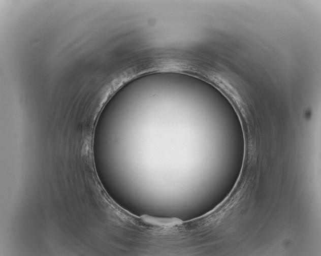 X0000096181481200801251203