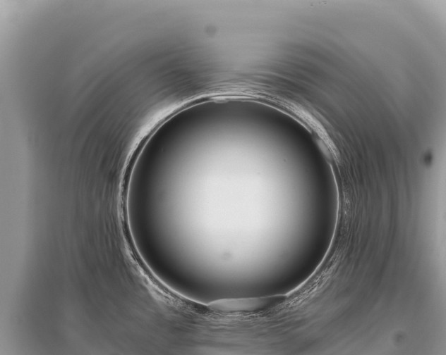 X0000096181485200801251203