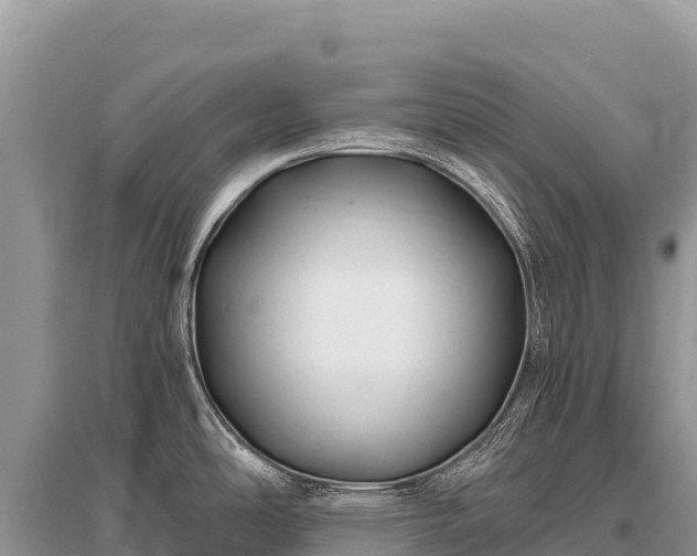 X0000096181486200801251203