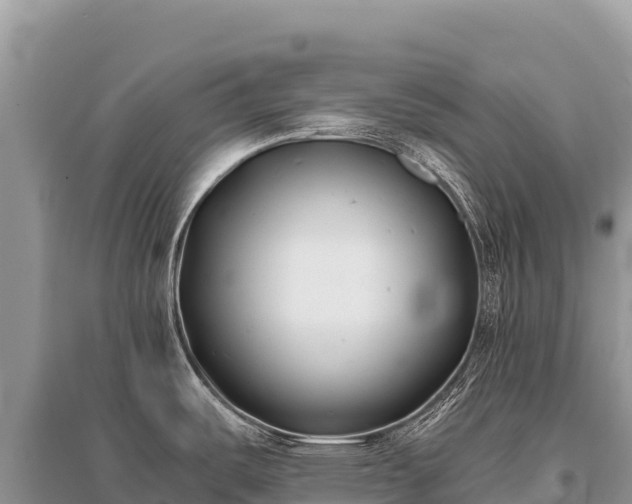 X0000096181487200801251203