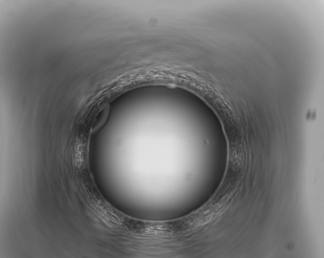 X0000096181490200801251203