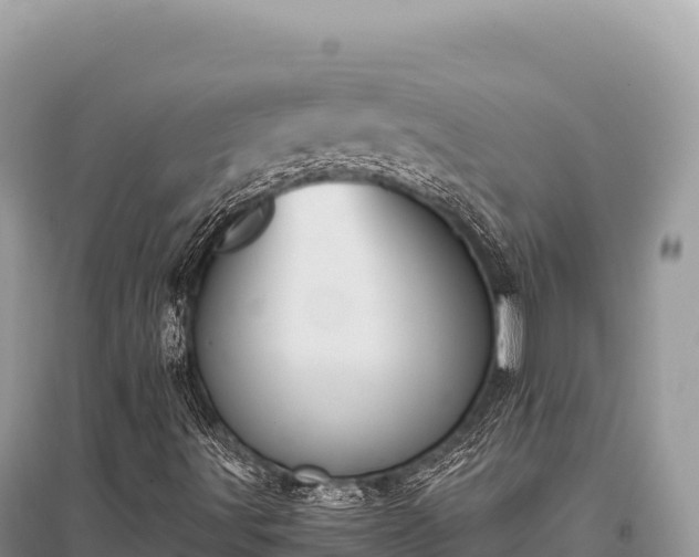 X0000096181491200801251203