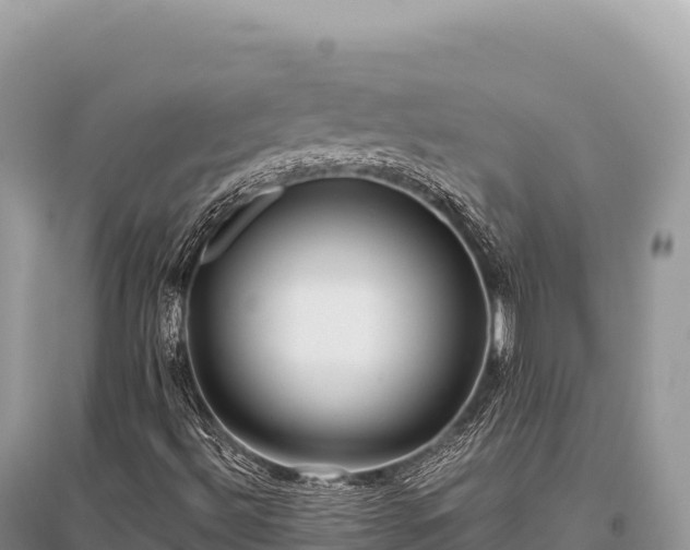 X0000096181492200801251203