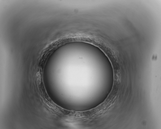 X0000096181493200801251203
