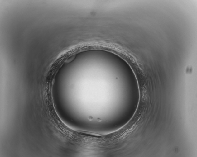 X0000096181494200801251203