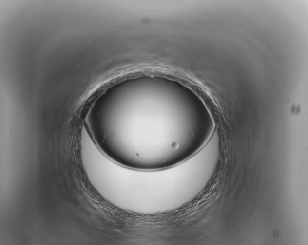X0000096181496200801251203