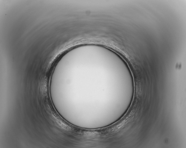 X0000096181498200801251203